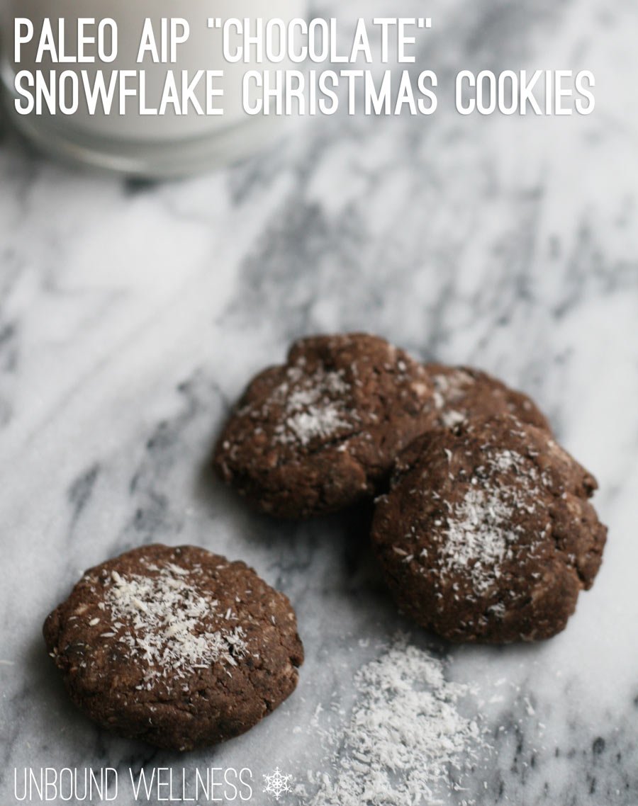 Paleo AIP "Chocolate" Snowflake Christmas Cookies