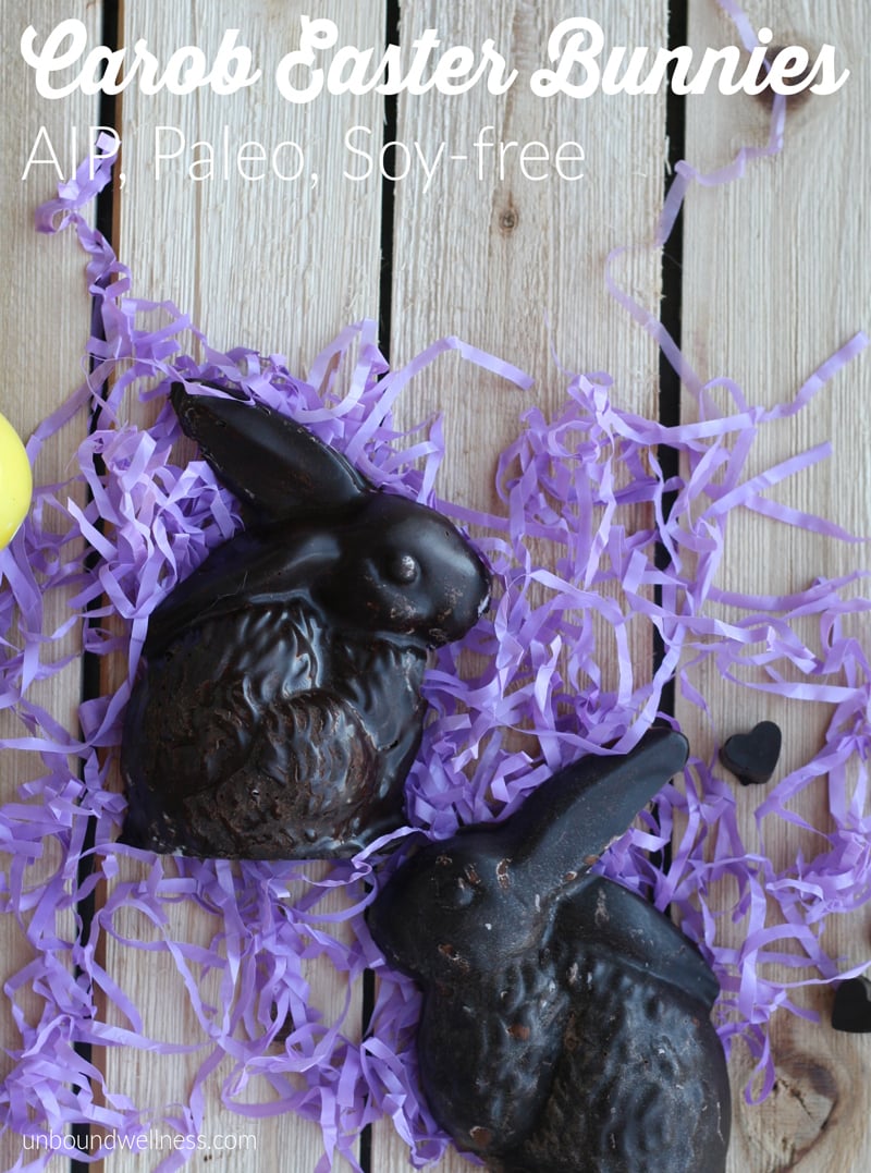 AIP "Chocolate" Carob Easter Bunnies