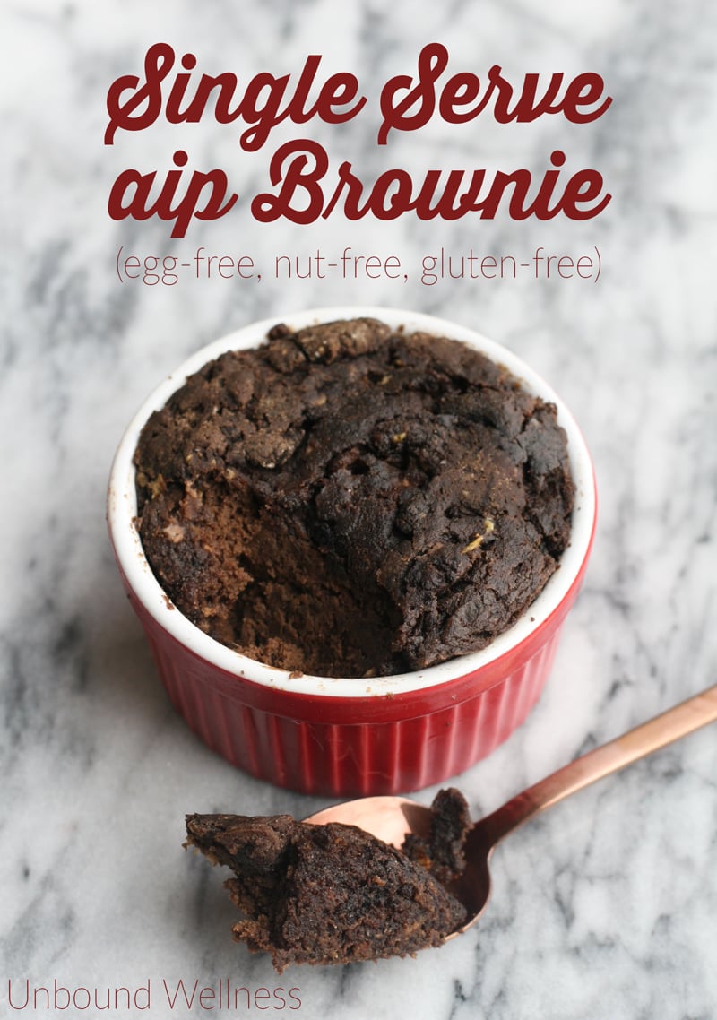 AIP Single Serve Brownie