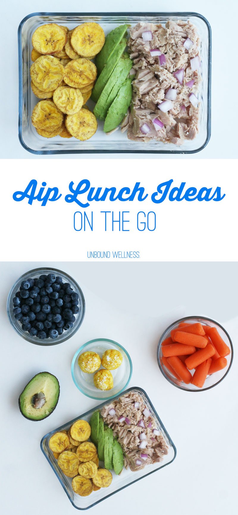 Easy AIP Lunch Ideas on the go