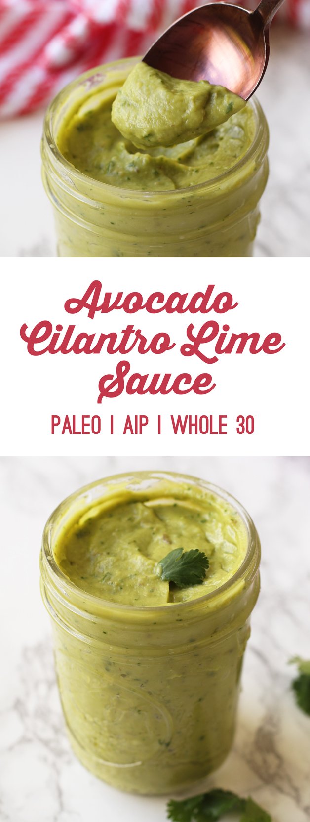 Avocado Cilantro Lime Sauce Recipe (AIP, Paleo, Whole 30)