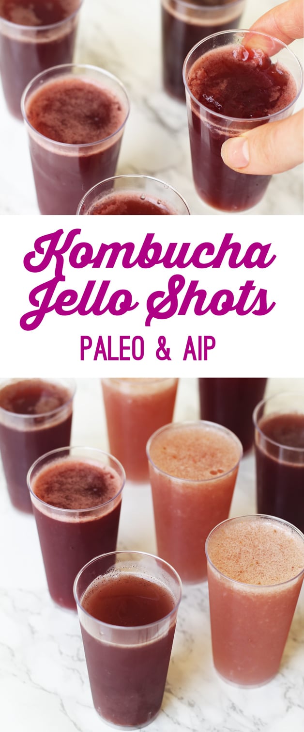 Kombucha Jello Shots (Paleo, AIP)