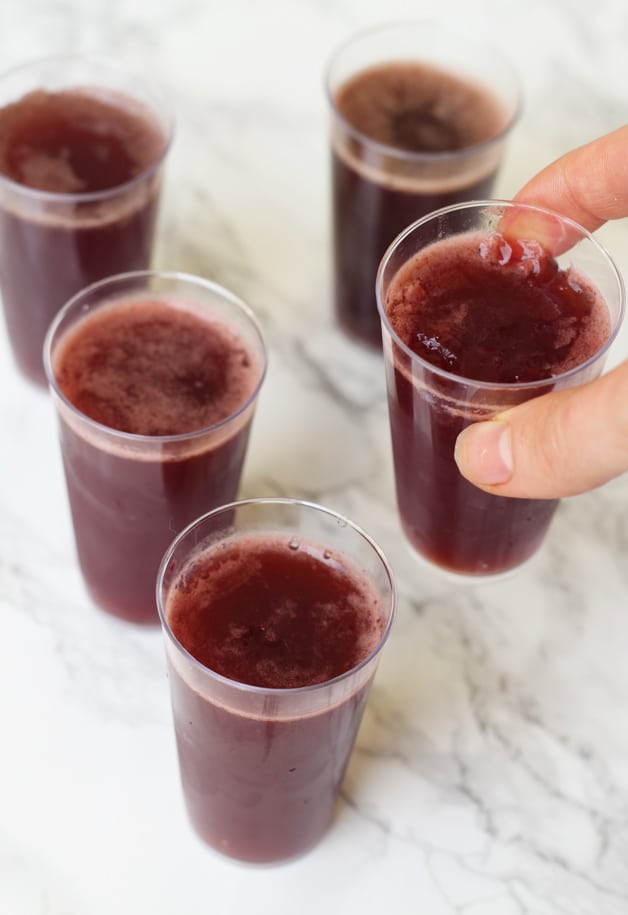 Kombucha Jello Shots