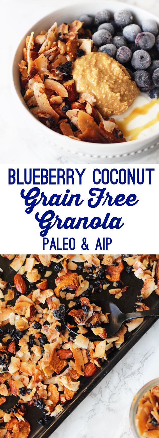 Grain Free Blueberry Coconut Granola (Paleo & AIP)