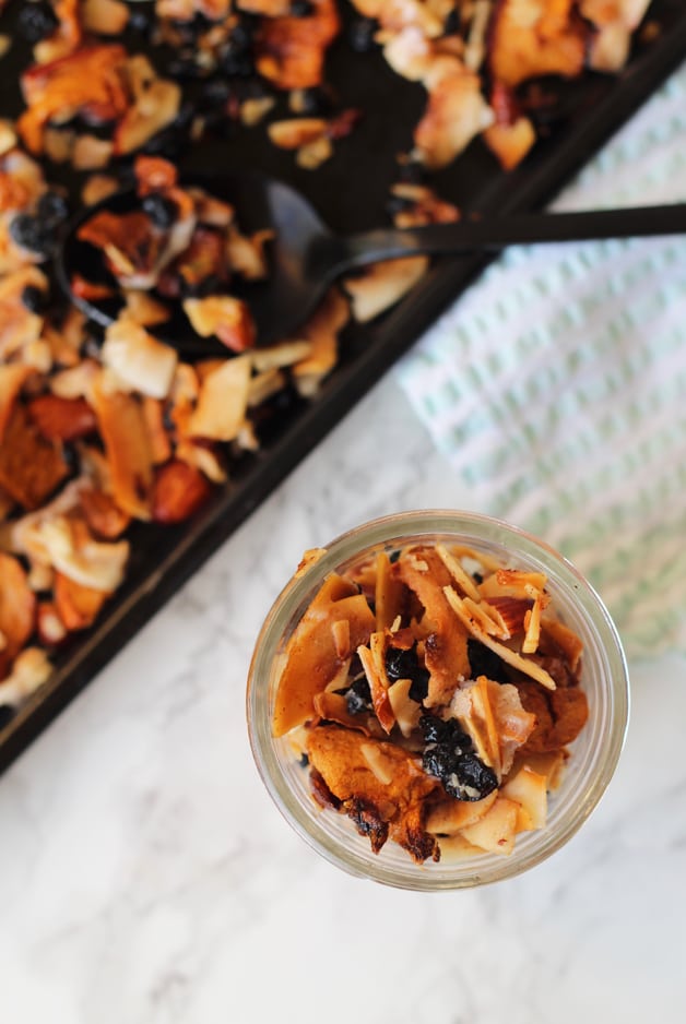 Grain Free Blueberry Coconut Granola (Paleo & AIP)