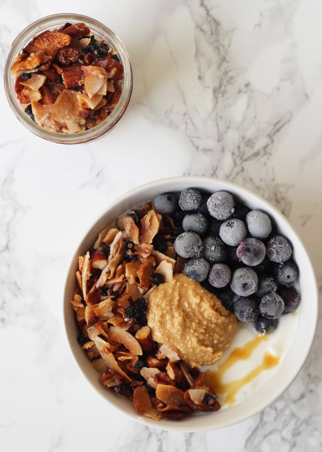 Grain Free Blueberry Coconut Granola (Paleo & AIP)