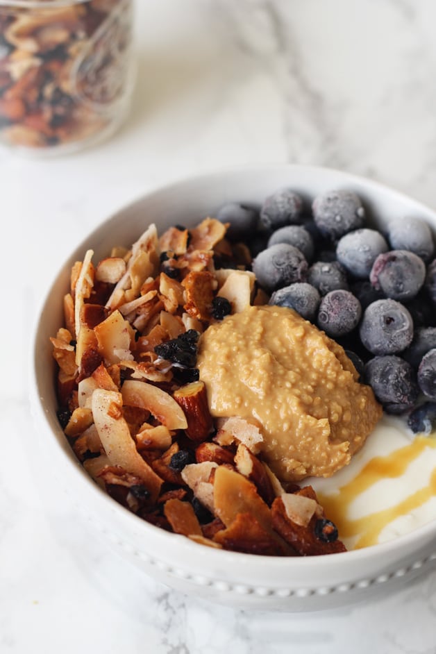 Grain Free Blueberry Coconut Granola (Paleo & AIP)