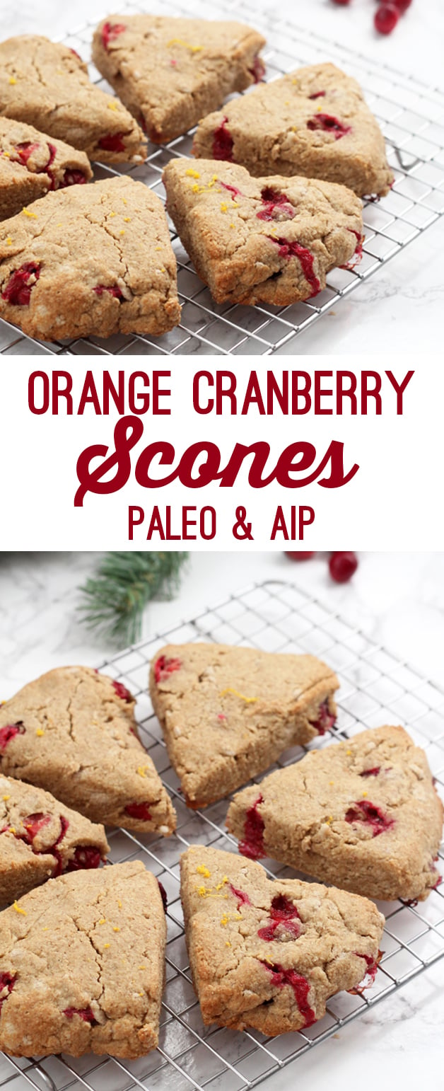 Orange Cranberry Scones (Paleo & AIP)