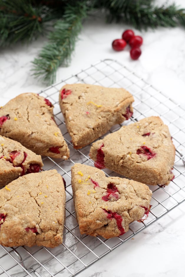 Orange Cranberry Scones (Paleo & AIP)