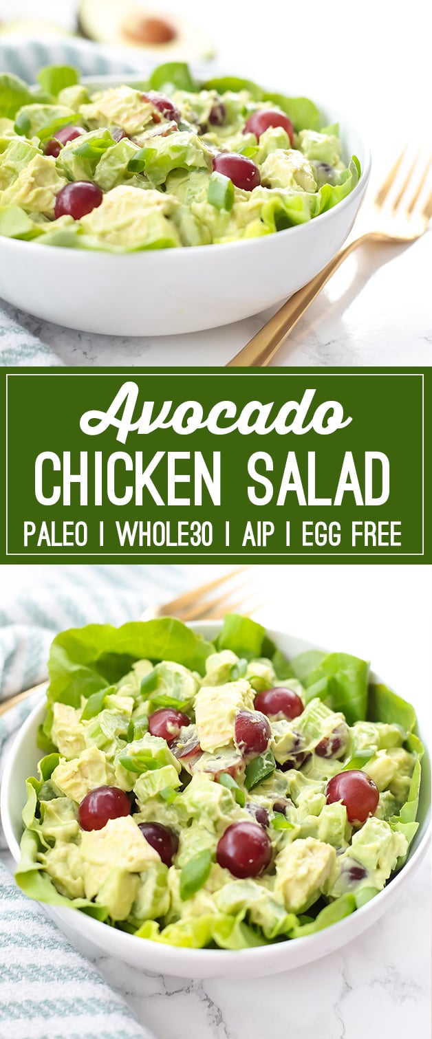 Paleo Avocado Chicken Salad (Whole30, AIP)