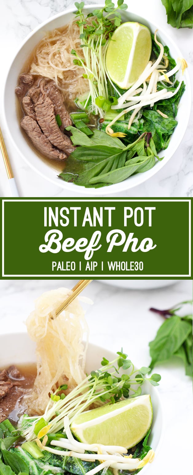 Instant Pot Vietnamese Pho Bo Tai [Beef Pho] - This Old Gal