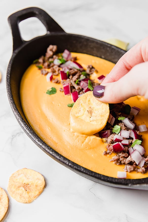 Primal Kitchen Queso Reviews & Info (Dairy-Free, Nut-Free, Paleo)