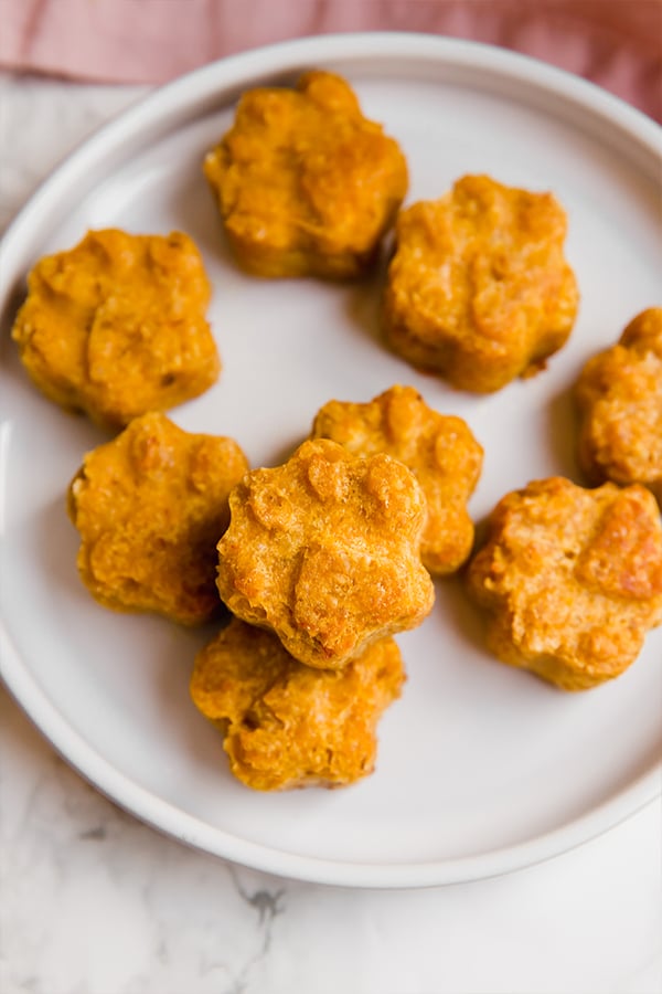 Healthy Homemade Pumpkin Cat Treats Unbound Wellness