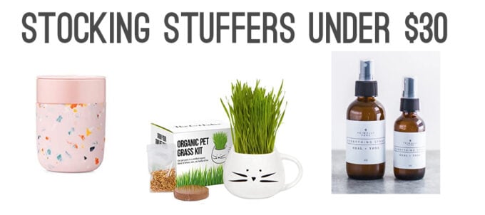 Stocking Stuffers Under $30