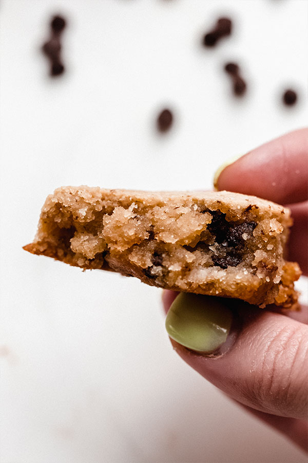 A chocolate chip cookie held between fingers.