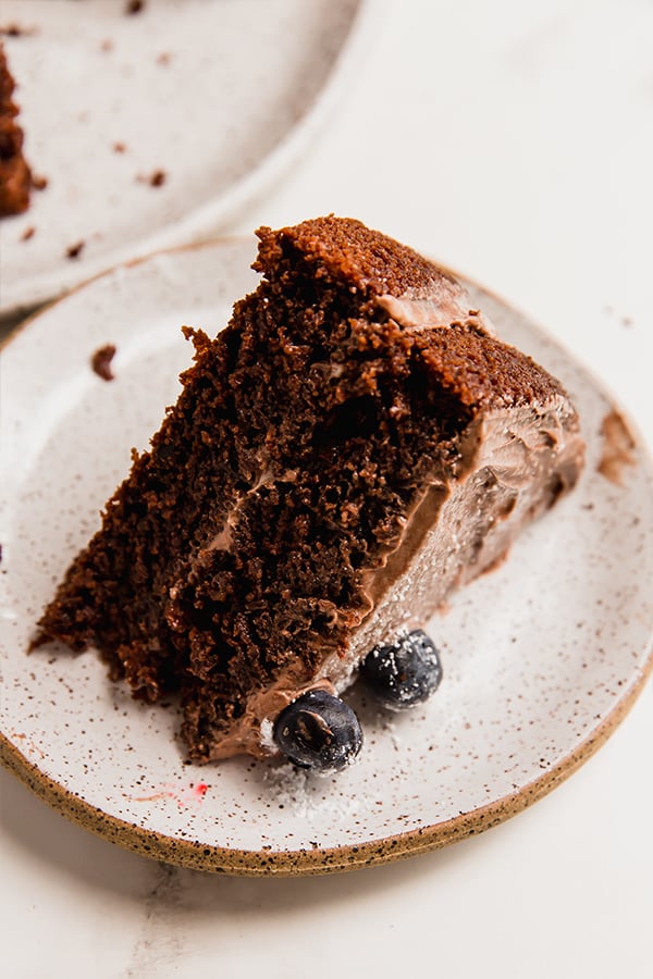A slice of paleo chocolate cake.