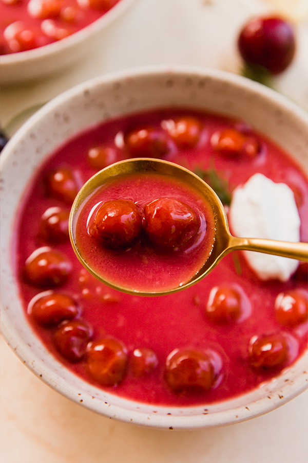 A bowl of cold cherry soup with a spoon.
