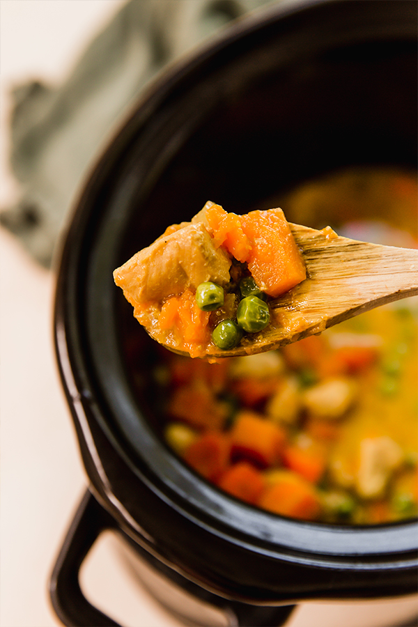 A spoonful of slow cooker turmeric chicken curry.
