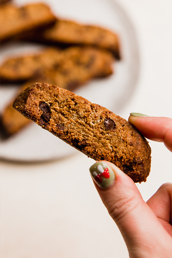 A chocolate chip biscotti being held in a hand.