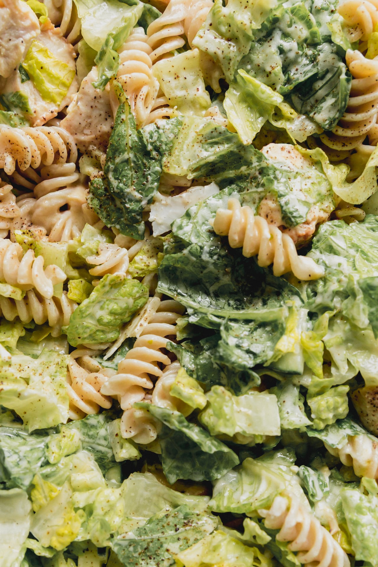 Chicken Caesar pasta salad with dressing.