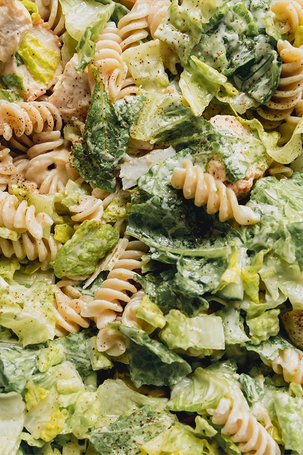 A close-up of the chicken caesar pasta salad.