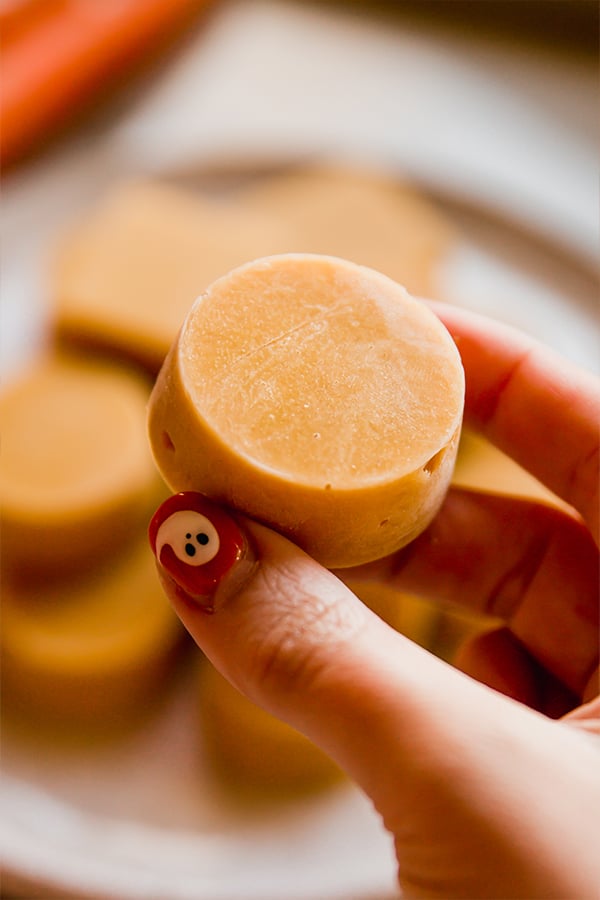 A homemade chicken bouillon cube being held in a hand.