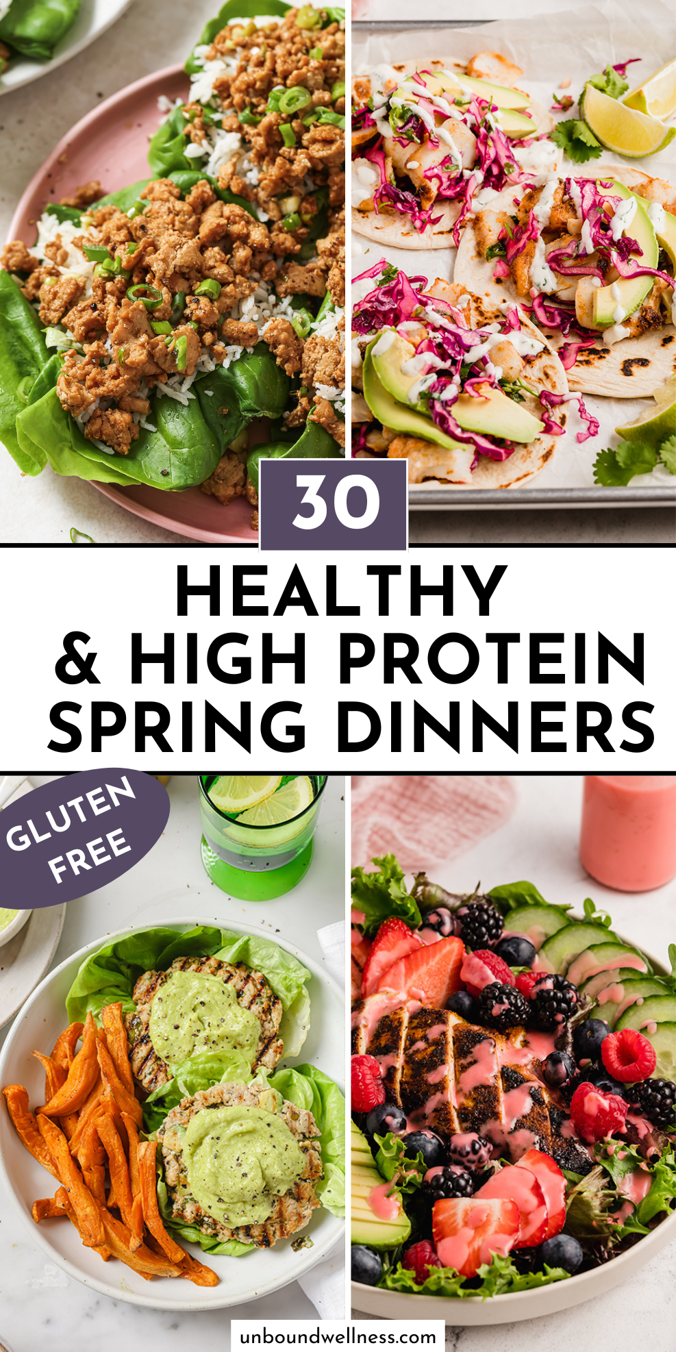 high protein low fat dinner recipe