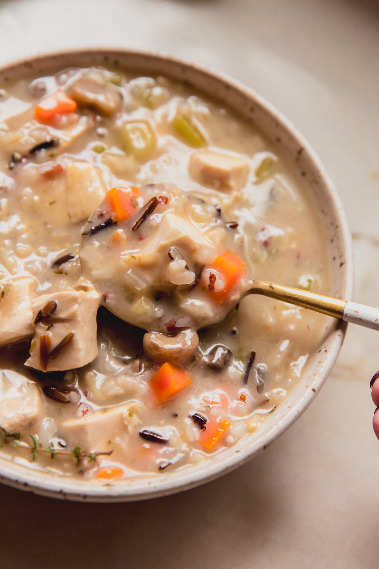 Wild rice soup with carrots, mushrooms and herbs in a bowl with a spoon.