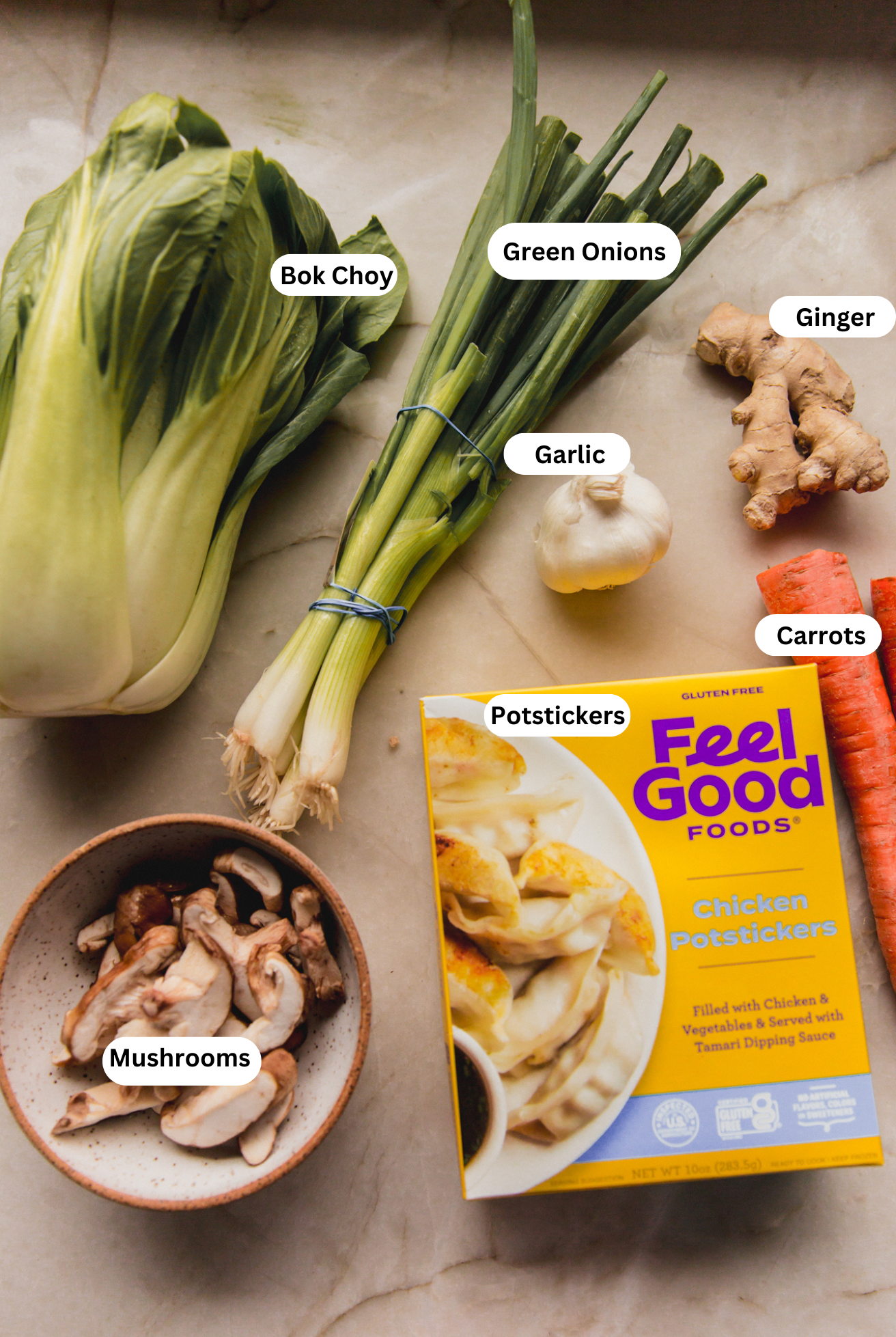 All the ingredients for potsticker soup before cooking.